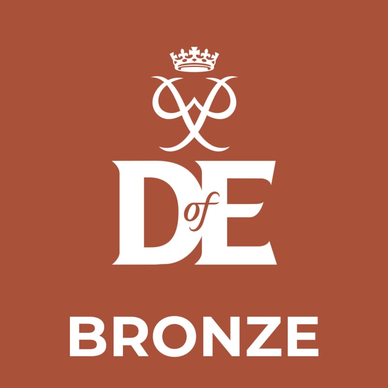 Bronze Award