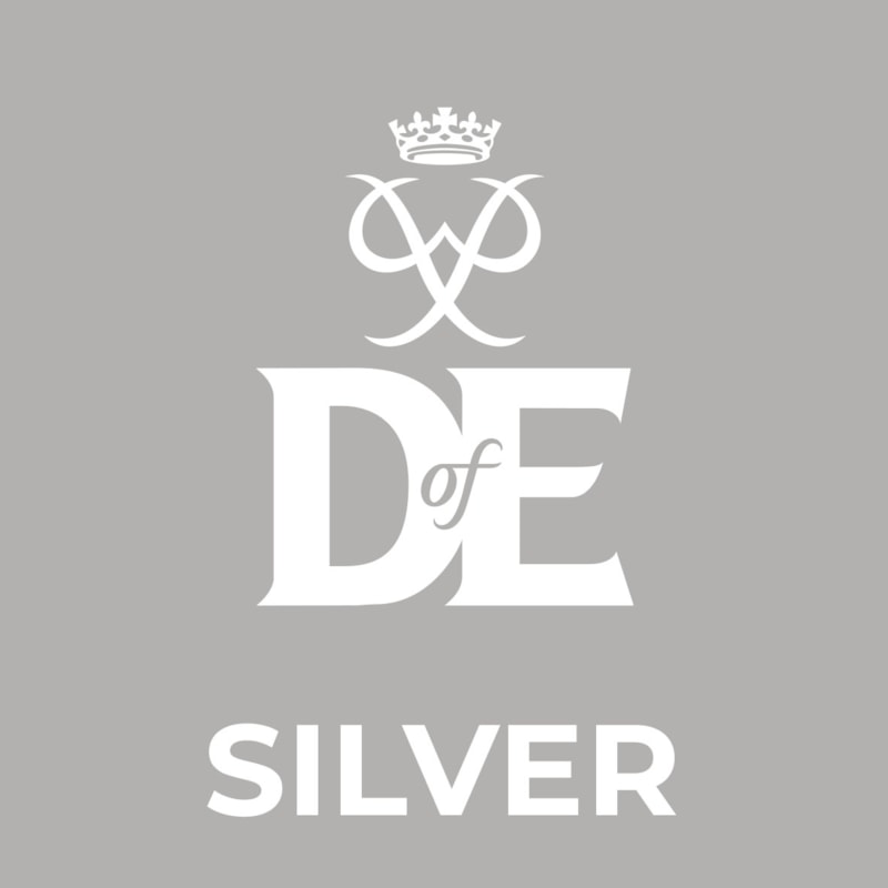 Silver Award